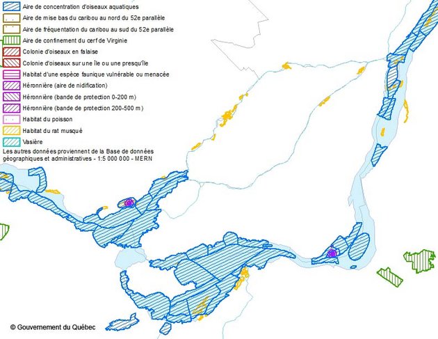 Exemple d'utilisation des données Couches des habitats fauniques à l'échelle de 1/20 000