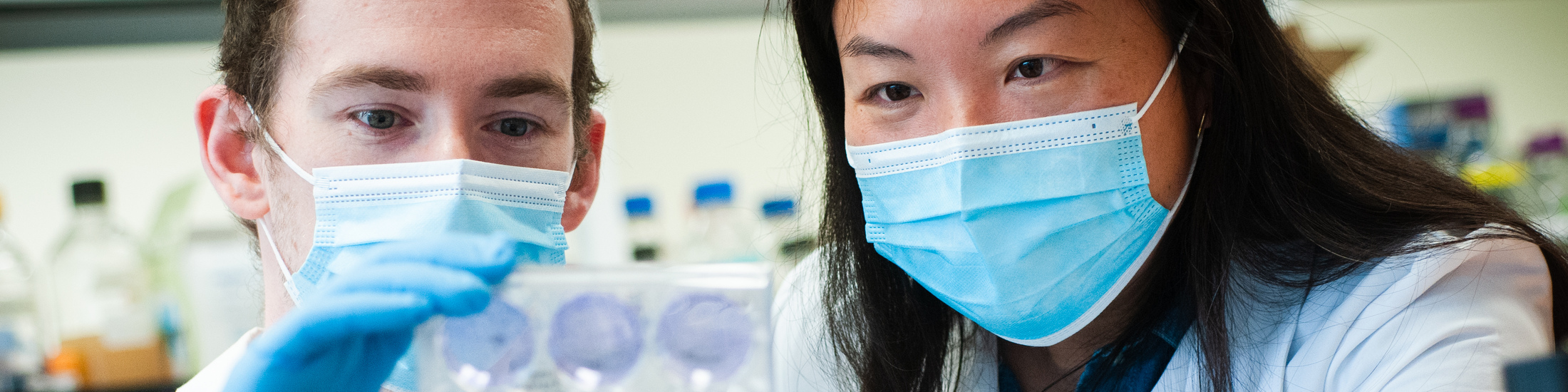 image en arrière plan