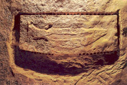 Image d'un saumon mle adulte grav il y a 25 000 ans au plafond d'une grotte dans le Prigord, en France.