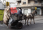La collecte des matières recyclables s'effectue à l'aide de charrettes tirées par des chevaux.