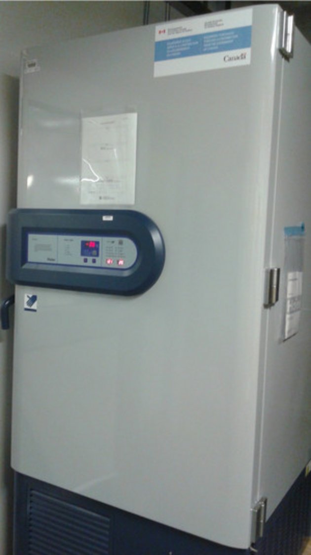 Vue de face du congélateur -40 degrée, modèle HAIER 626