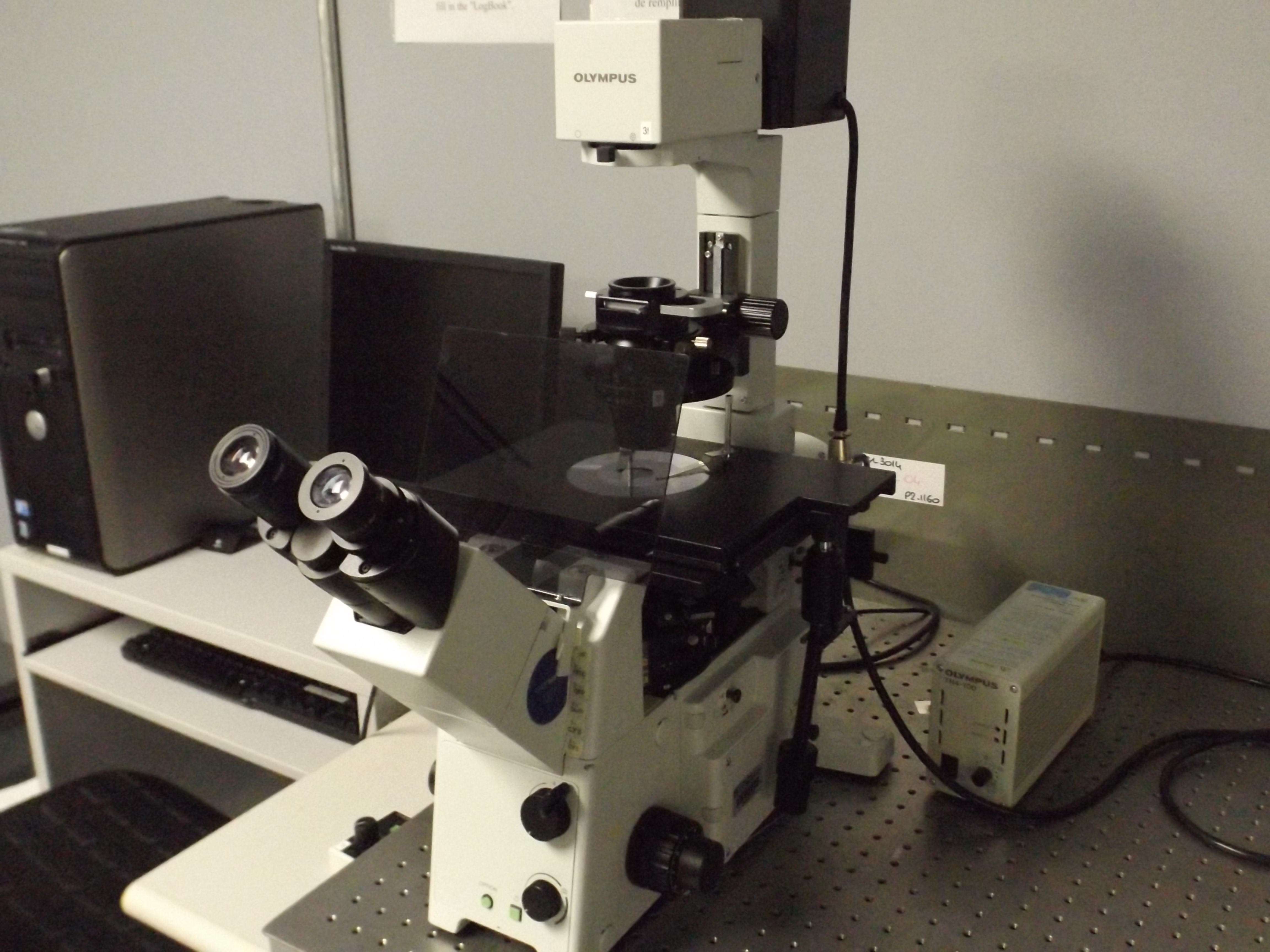 Microscope à épifluorescence