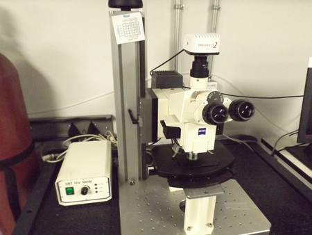 Zeiss Infinity optical microscope