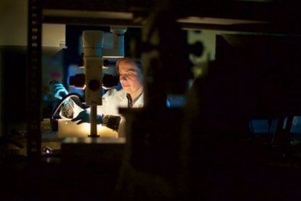 Eve Langelier dans son labo