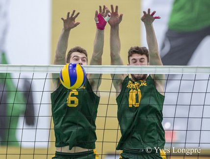 Volleyball masculin