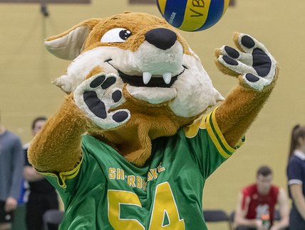 Sherlo jouant au Volleyball