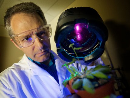 Recherche en environnement