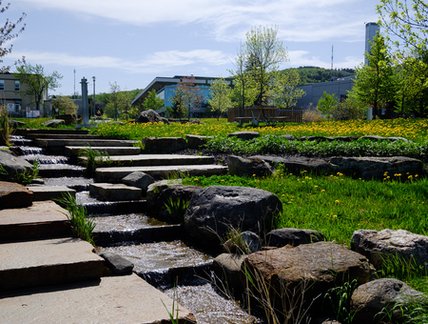 Bassin de rétention et de valorisation de l'eau de pluie