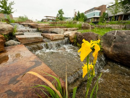 Bassin de rétention de l'eau de pluie