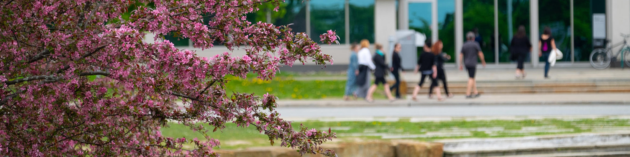 image en arrière plan