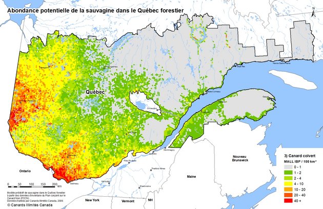 Exemple d'utilisation des données Classification des milieux humides et modélisation de la sauvagine dans le Québec forestier