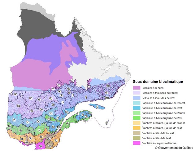 Exemple d'utilisation du Classification écologique du territoire du Québec