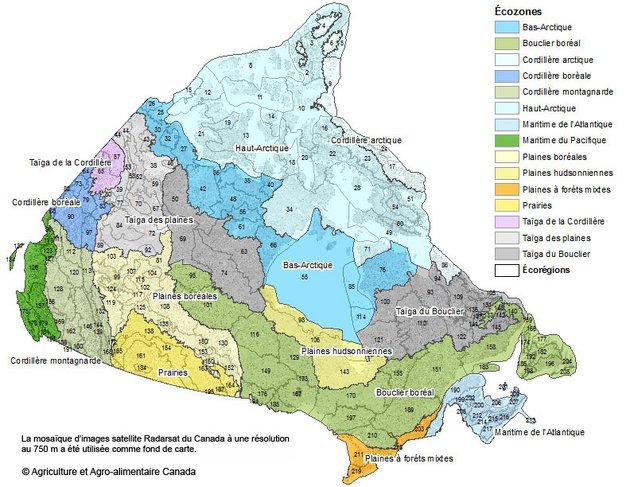 Exemple d'utilisation des données Cadre écologique national pour le Canada