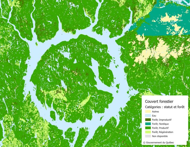 Exemple des données du portrait du couvert forestier du Québec