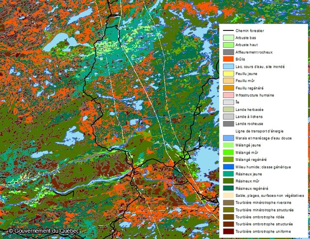 Exemple d'utilisation des données : Projet d’inventaire écoforestier du Québec nordique - MFFP