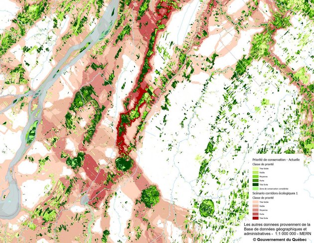Exemple d'utilisation des données Base de données sur la connectivité écologique des milieux naturels dans les basses-terres du Saint-Laurent