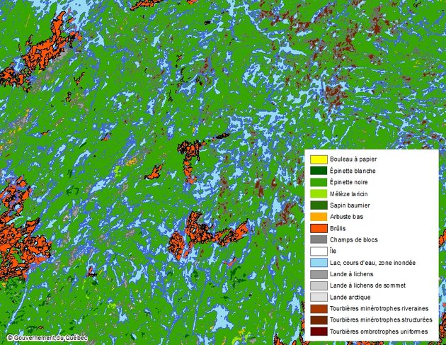Exemple d'utilisation des données : Végétation du Nord québécois - MFFP