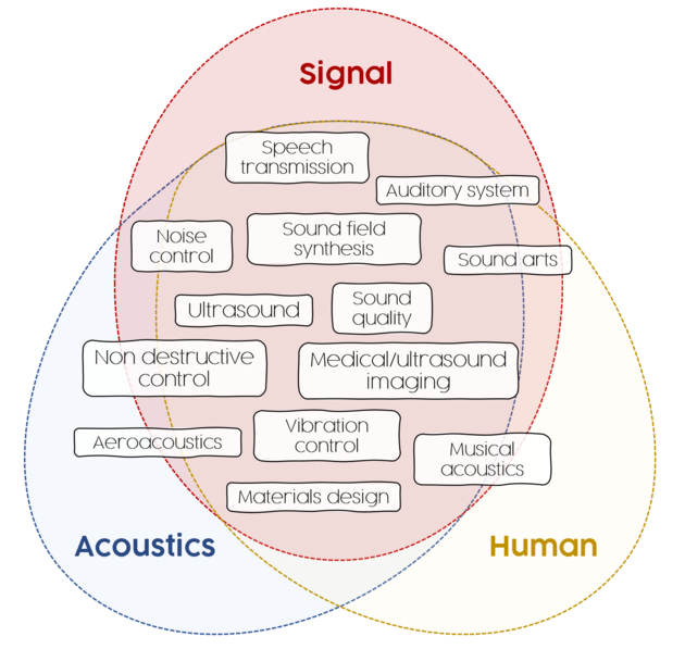 Research axis which intersect Acoustic, Signal and Human: musical acoustic, aeroacoustic, sound arts, noise control, non-destructive control, vibration control, ultrasound medical imaging, acoustics material design, sound quality, sound field synthesis, auditory system, ultrasound, speech transmission.