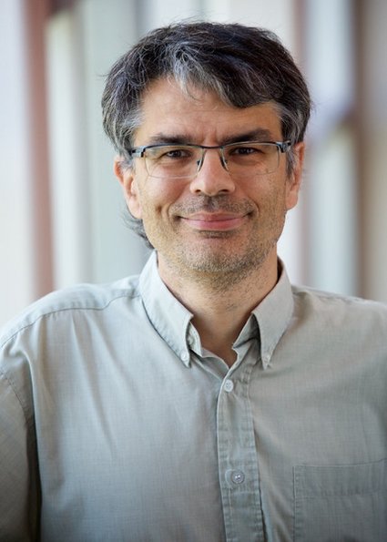 Professor Philippe Micheau