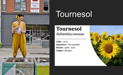 Oeuvre d'Angélie Morin