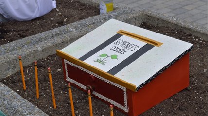 Oeuvre d'Angélie Morin