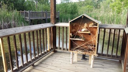 Oeuvre d'Annie-Claude Côté Collin