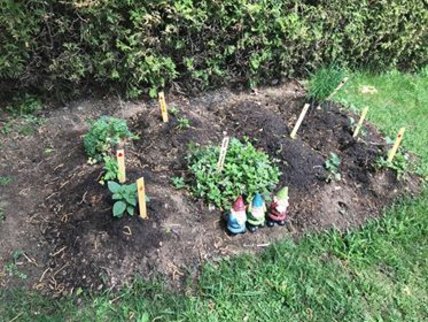 Oeuvre de Raphaële Comté