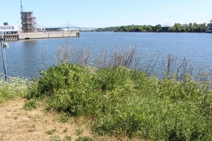 Oeuvre de Véronique Pascal