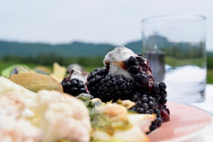 Oeuvre de Julia Pouliot