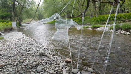 Oeuvre de Gabrielle Schloesser