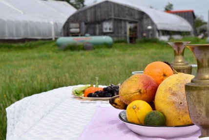 Oeuvre de Julia Pouliot