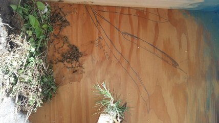 Oeuvre d'Annie-Claude Côté Collin