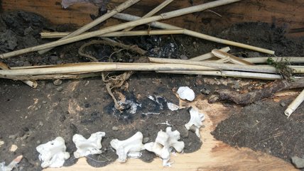 Oeuvre d'Annie-Claude Côté Collin