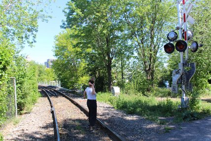 Oeuvre de Véronique Pascal