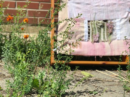 Oeuvre d'Amélie P. Bédard