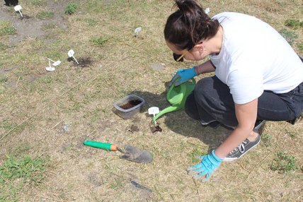 Oeuvre de Véronique Pascal