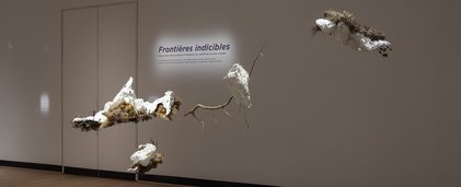 oeuvre