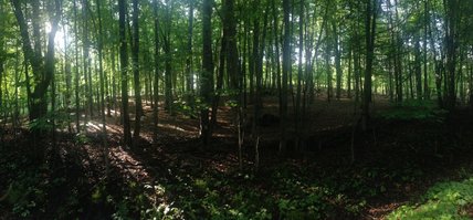 Oeuvre de Rachel Stauffer