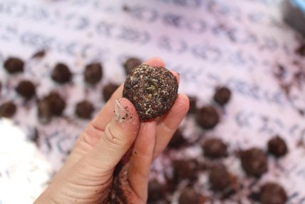 Oeuvre de Véronique Pascal