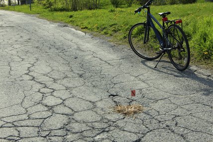 Arianne Arshinoff-Foss