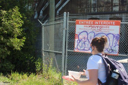 Oeuvre de Véronique Pascal