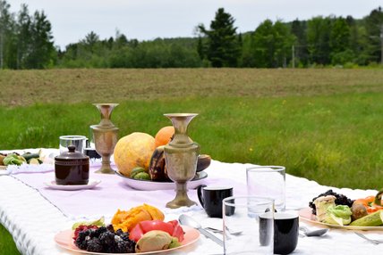 Oeuvre de Julia Pouliot