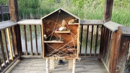 Oeuvre d'Annie-Claude Côté Collin