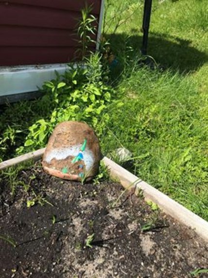 Oeuvre de Raphaële Comté