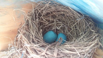 Oeuvre d'Annie-Claude Côté Collin