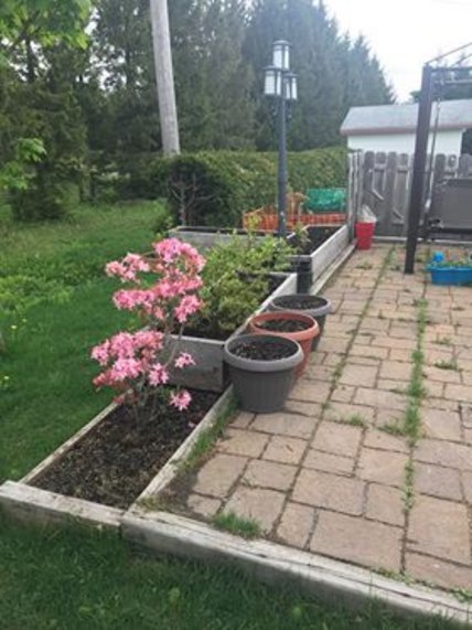 Oeuvre de Raphaële Comté