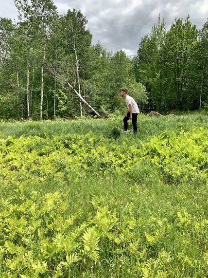 Oeuvre de Lucas Lajoie