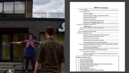 Oeuvre d'Angélie Morin