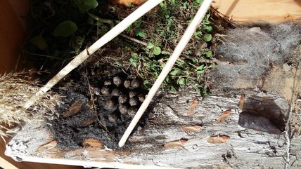 Oeuvre d'Annie-Claude Côté Collin