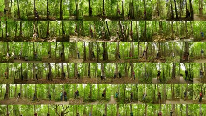 Oeuvre de Jeanne Bédard